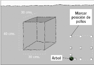 ¿Cómo construir un Deck de Madera para tu Patio o Terraza? | La Carlota